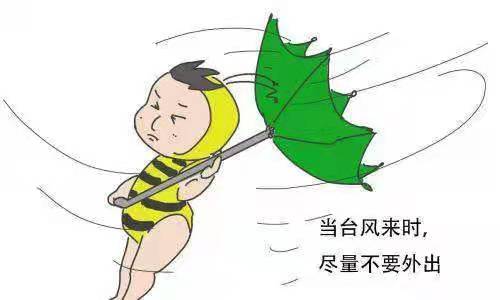 处暑时节，遇到台风天气怎么办？ 
