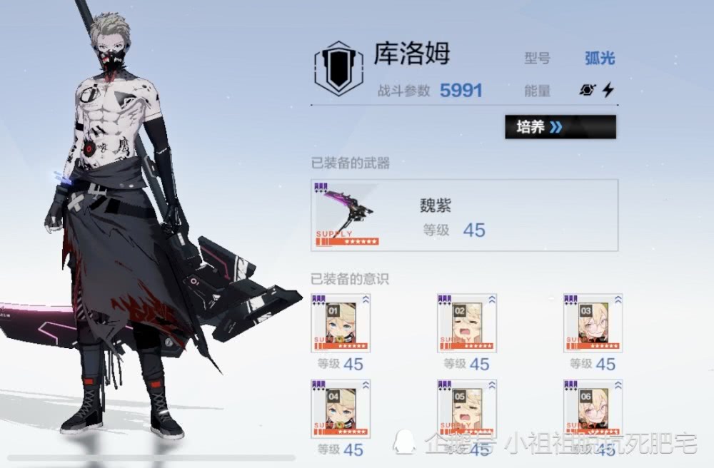 战双帕弥什:雷队究极体 雷队修炼大全