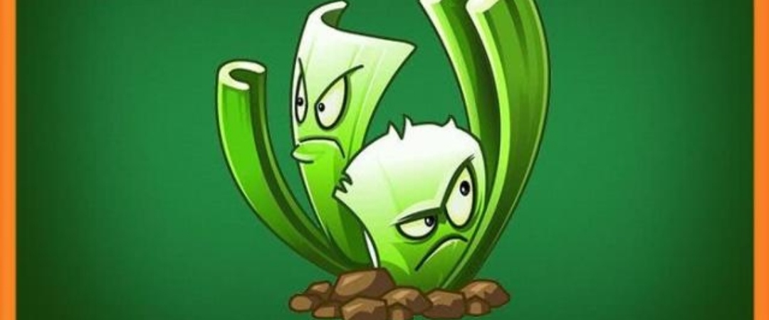 第一,潜伏芹菜,它是摇滚年代赠送植物,如果开始不了解,还以没有什么