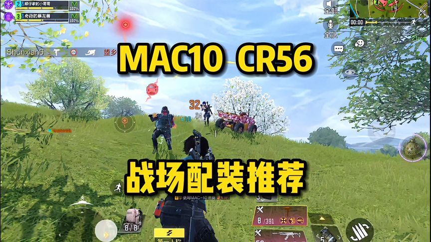 使命召唤手游：MAC10、CR56最强配装，带粉击杀锦集