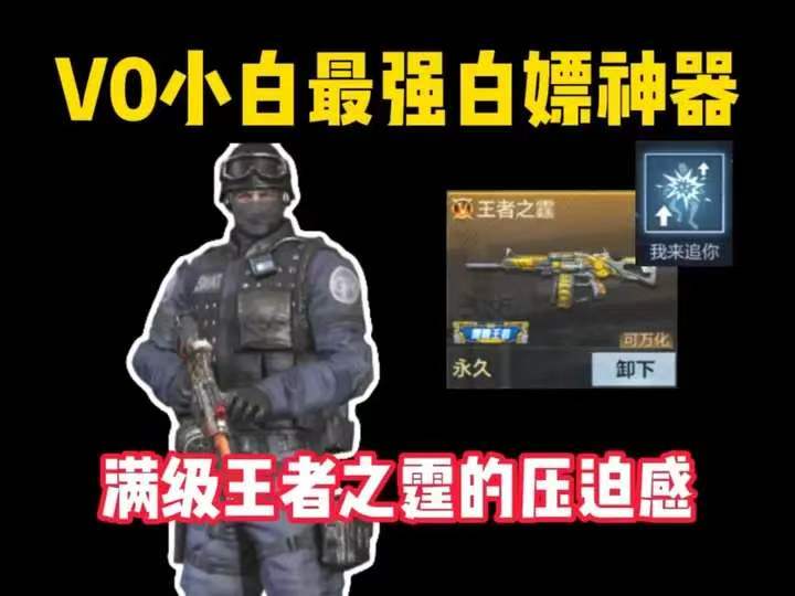 VO小白最强白嫖神器，满级王者之霆的压迫感