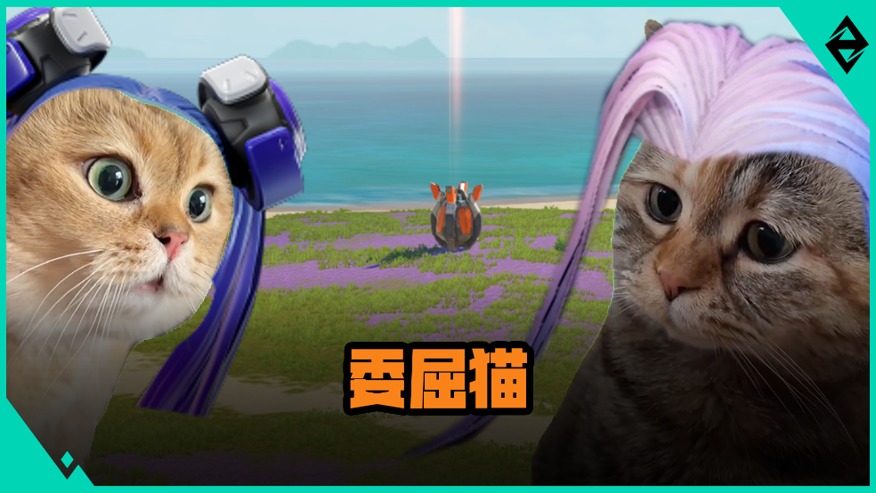 只是想舔个空投罢了