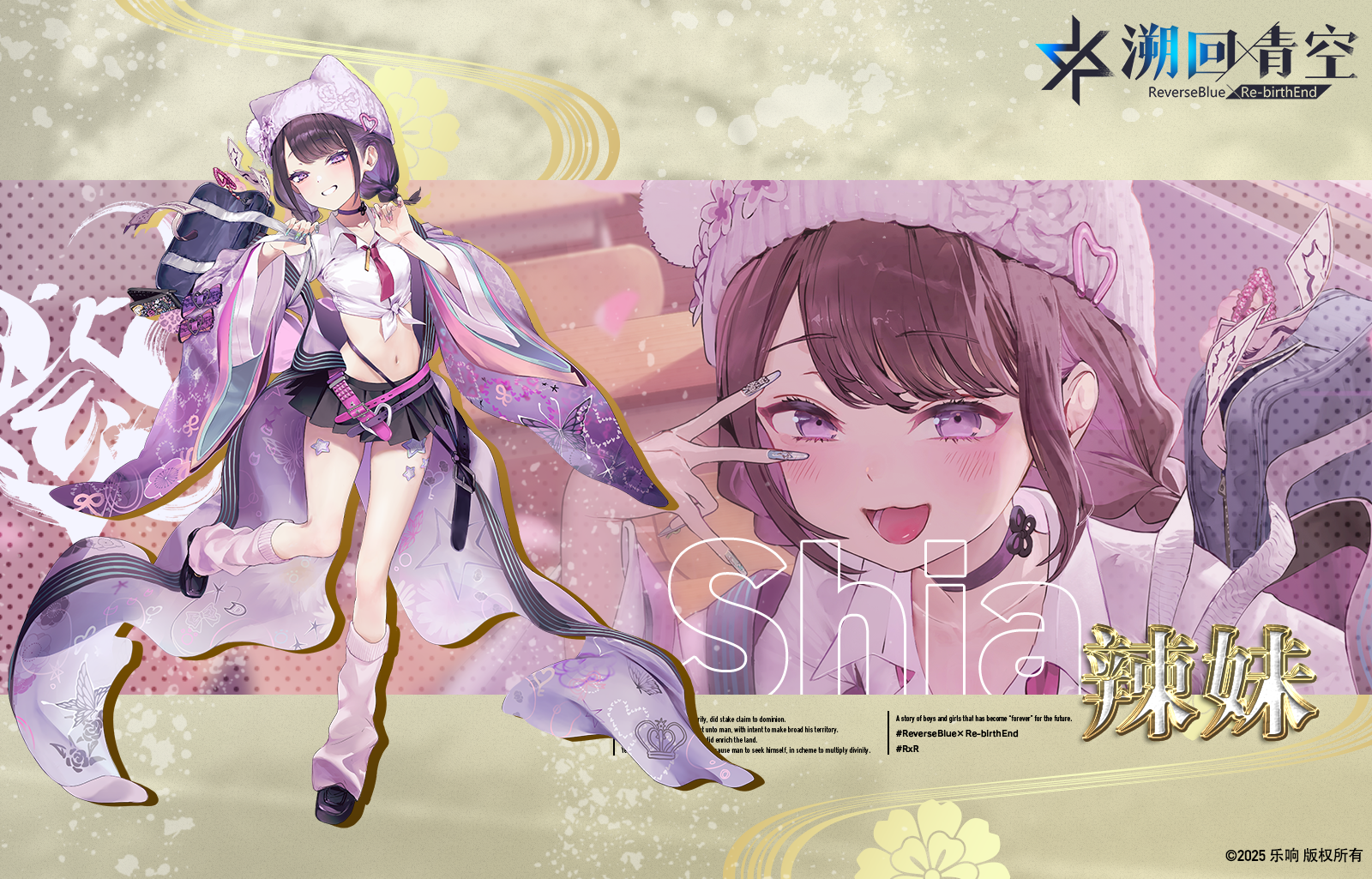 【骑士介绍】