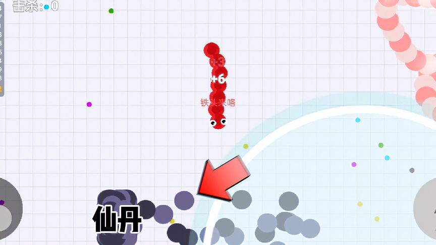 贪吃蛇大作战：幸运的开局，今天欧气爆棚了
