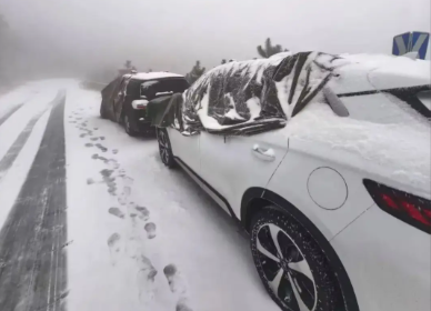 江浙沪皖暴雪将至 这游戏用谋略逆转天气困局