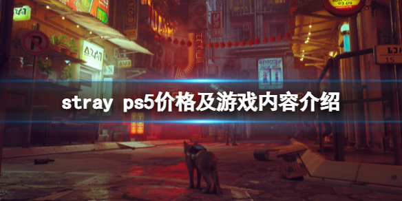 《迷失》stray ps5价格是多少？ps5价格及游戏内容介绍