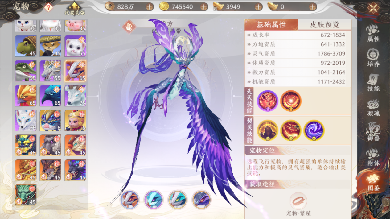 【江湖攻略集】平价攻宠培养-毕方篇
