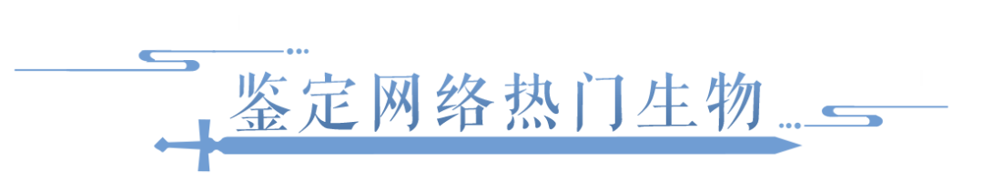 当网络热门生物鉴定专家遇上倩女......