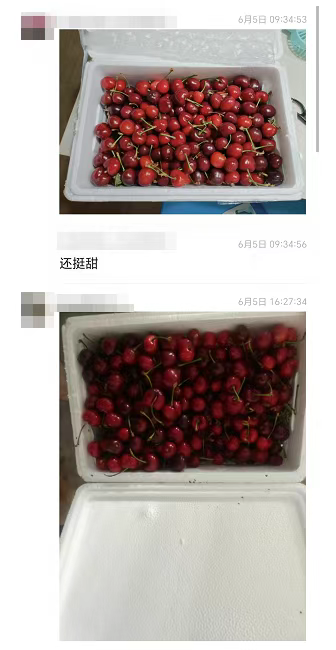 这群人靠羊肉串逆袭成三谋霸主，【大咩王朝】藏着多少狠料？
