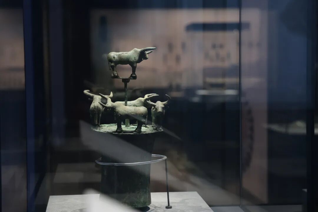 博物偃武丨从古滇国“中央银行”到《偃武》战略要地，一条牛图腾牵起的2000年！