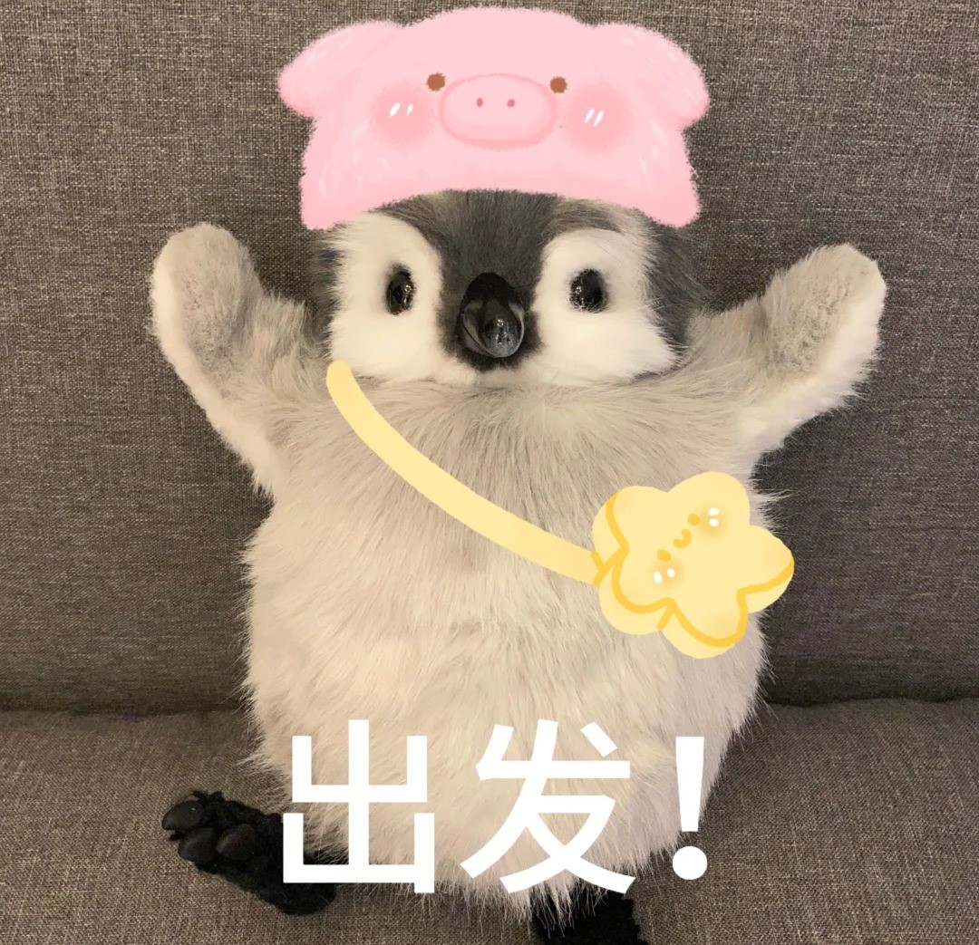 九洲福利 | 这么近，那么美，师妹来游山玩水~