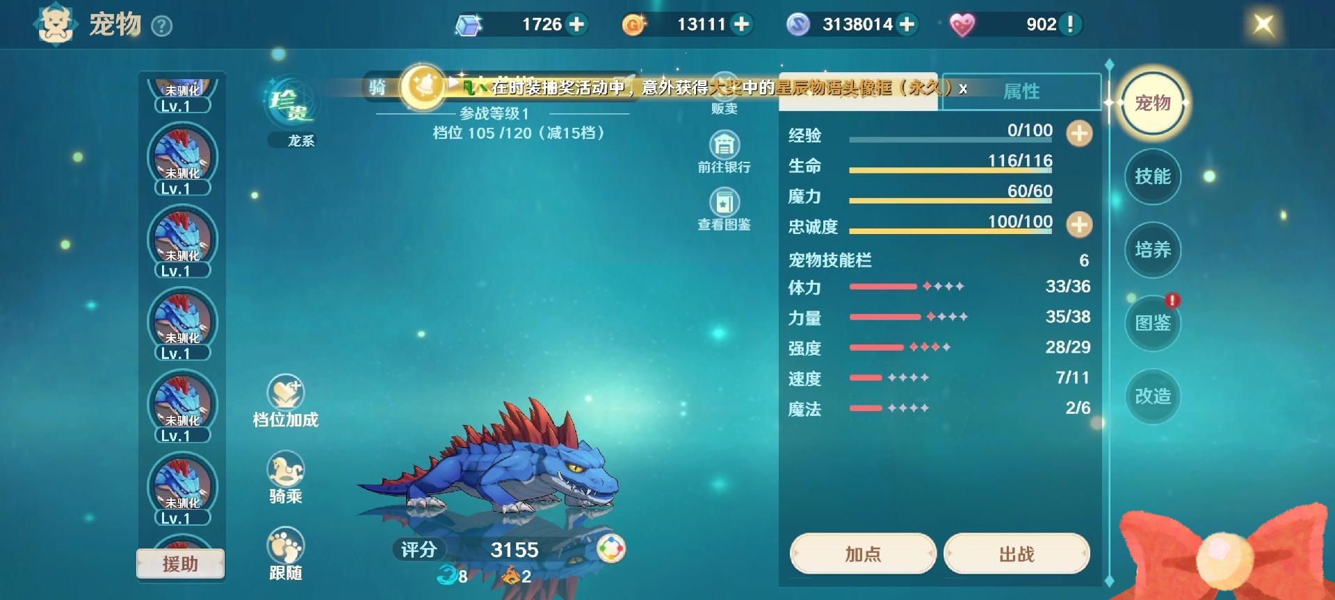 【魔力首发】让人着迷的水龙蜥