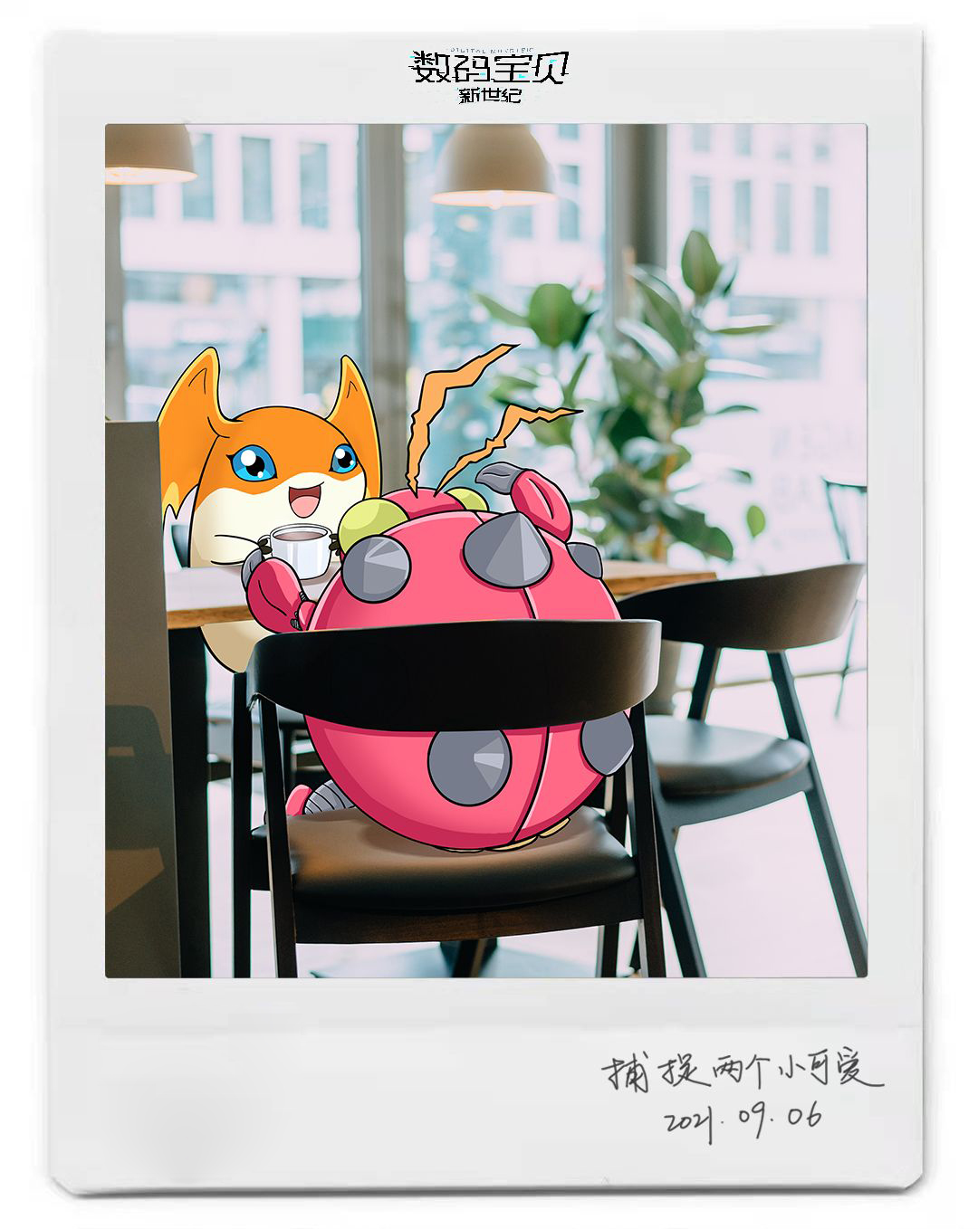 数码宝贝新世纪：捕捉两个小可爱