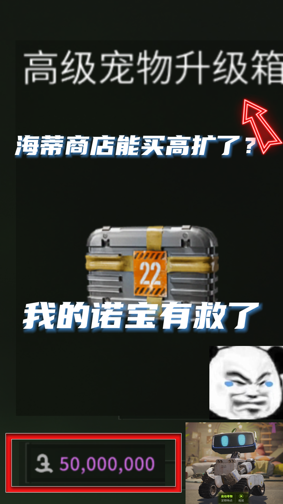 海蒂商店能买高扩了？我的诺宝有救了😭😭