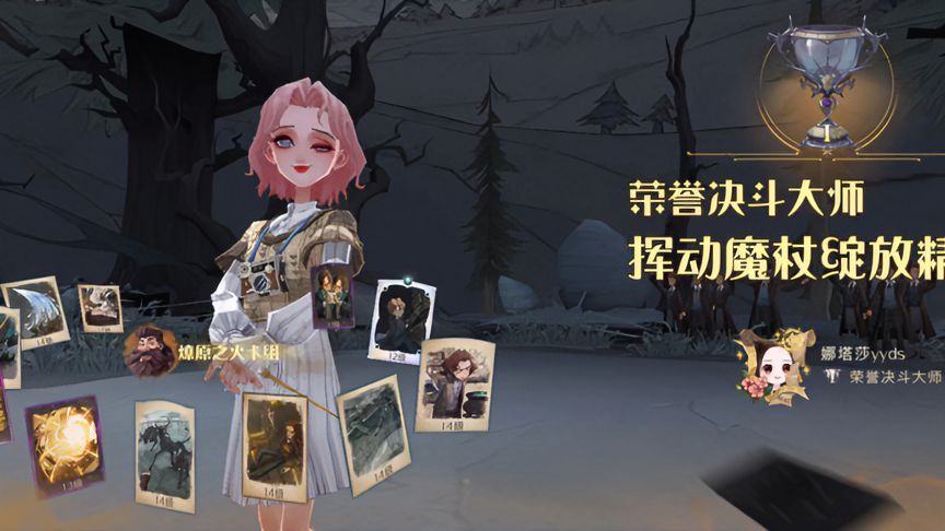 哈利波特·魔法觉醒：一个不太善良的巫师上荣誉啦！嘻嘻
