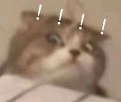 逍遥门派迎来重制，门派平衡调整在即：少侠的意见，我们在听！