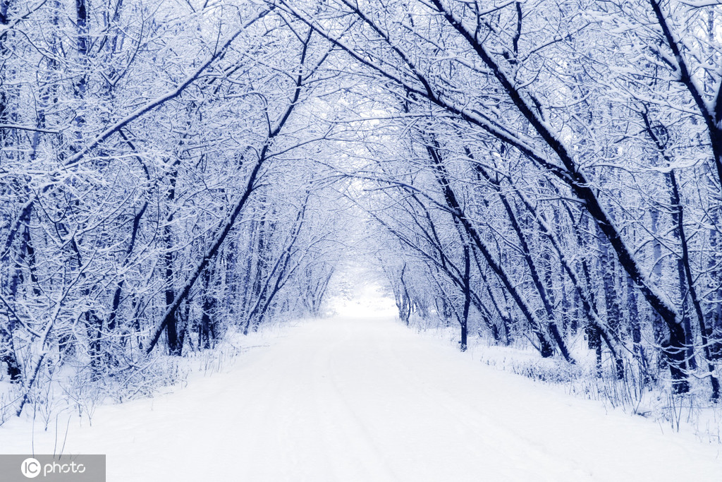 漠河初雪藏谋略？这款游戏让冰雪策略照进现实