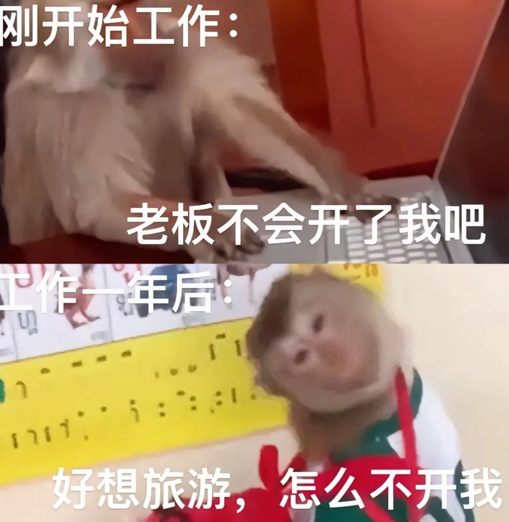 职场新人求稳心态，策略游戏成成长指南？