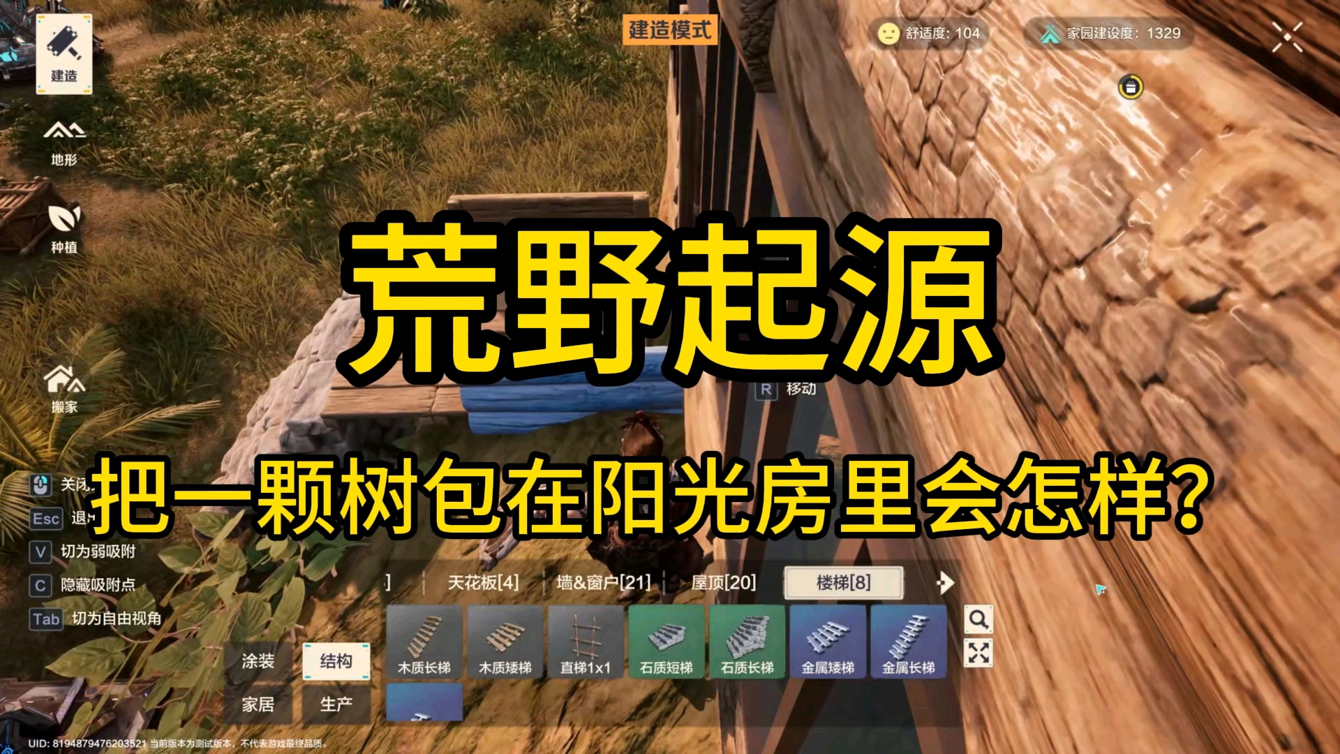 绝美阳光树屋！