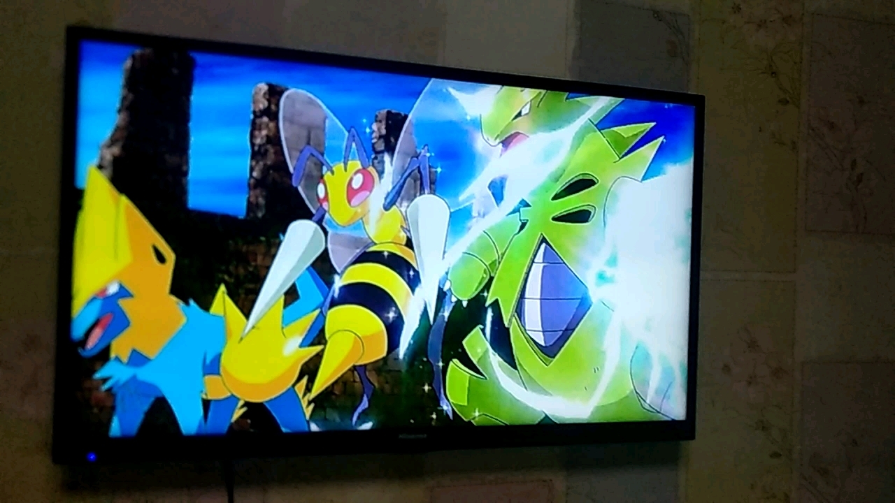 我看主播玩过这游戏，我都天天看精灵宝可梦，天天玩精灵宝可梦游