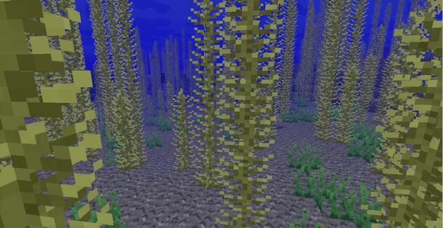 我的世界：砍树是致富的关键，海藻可以解决食物问题