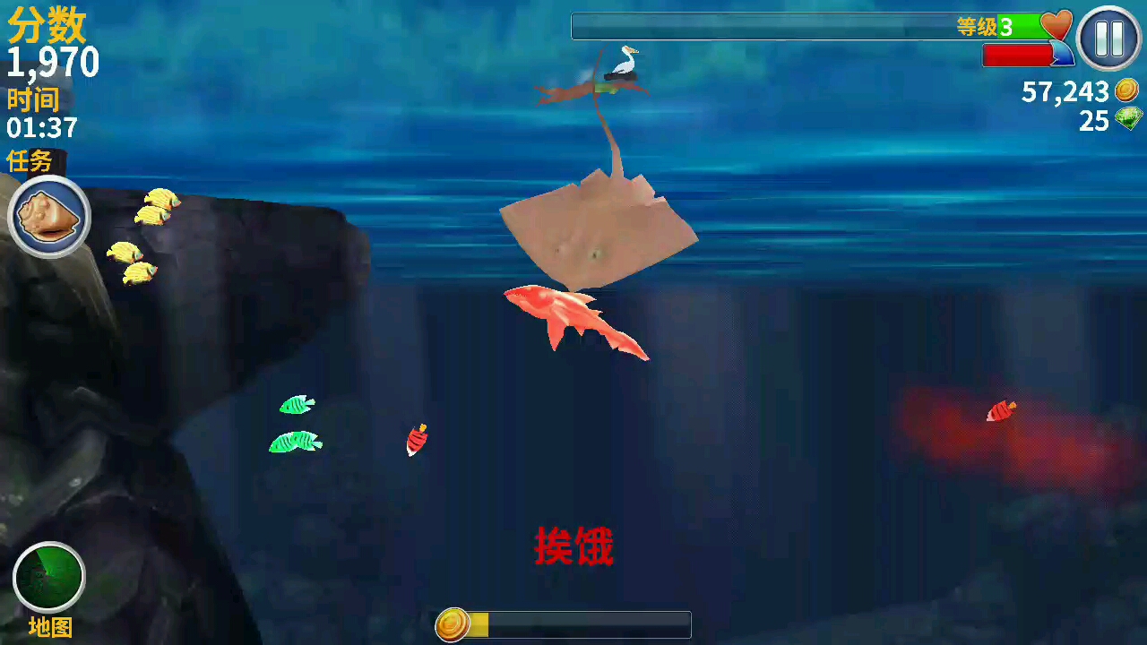 最后被鱼杀死