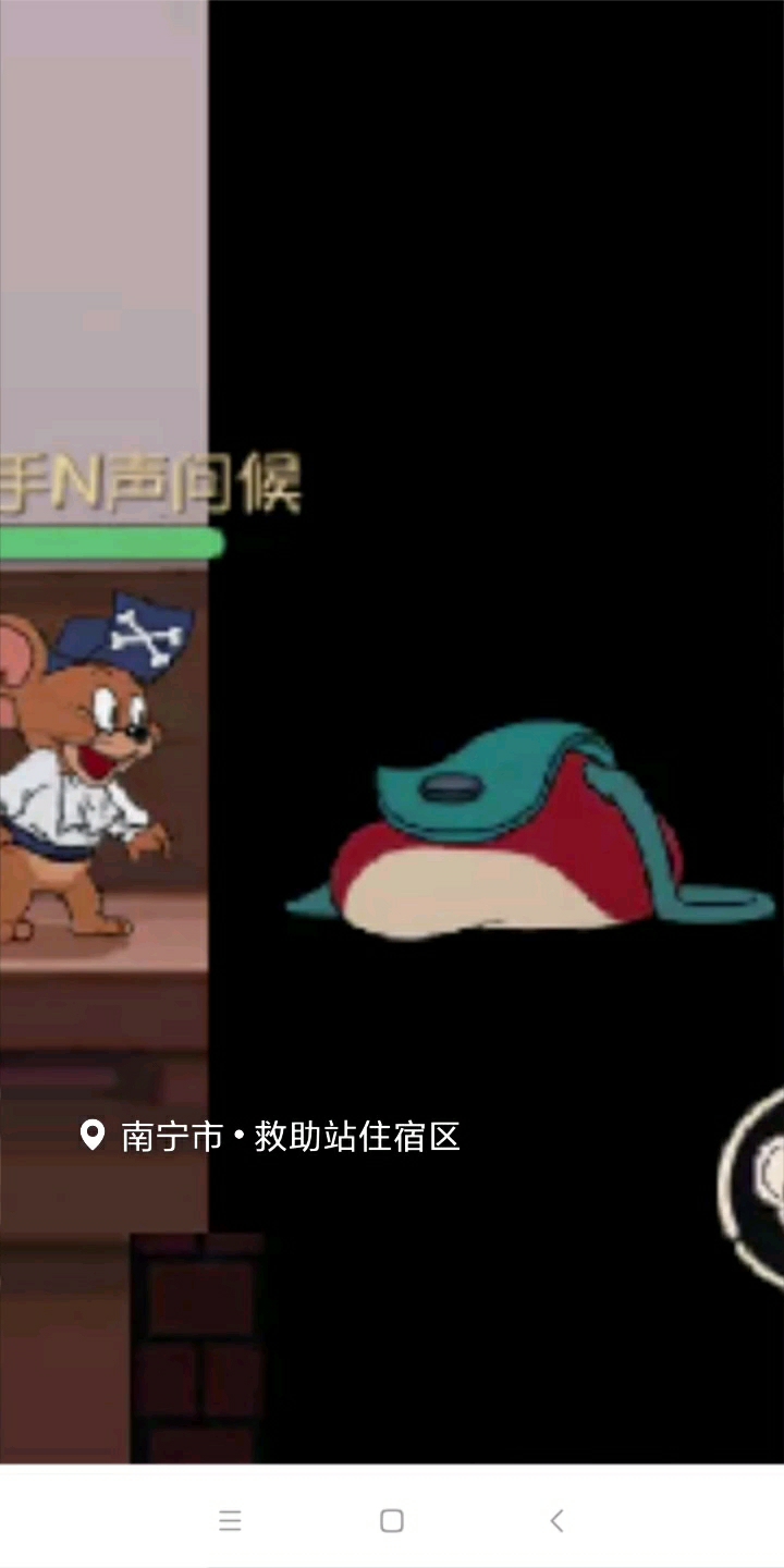 猫和老鼠。