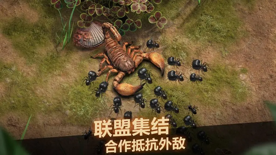 外敌是蝎子？