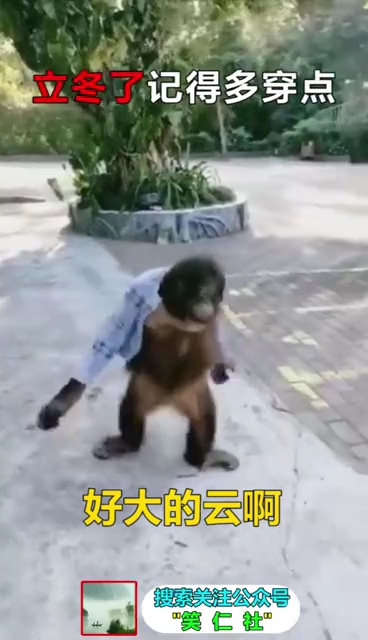 开心消消乐