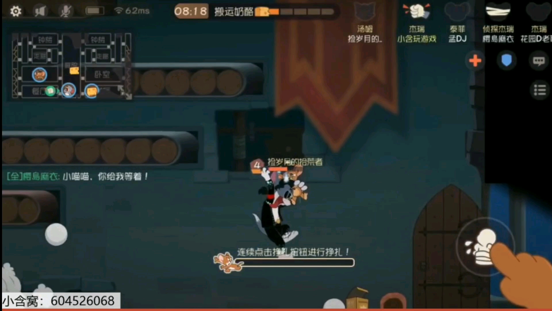 当遇到会玩的猫之后……