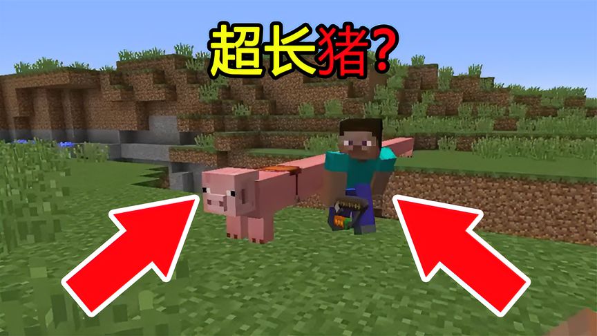 我的世界:MC新手冷知识,这样的MC你见过吗?超长猪-小米游戏中心