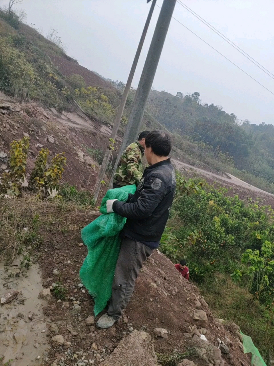 ①平比。你帮我打倒。