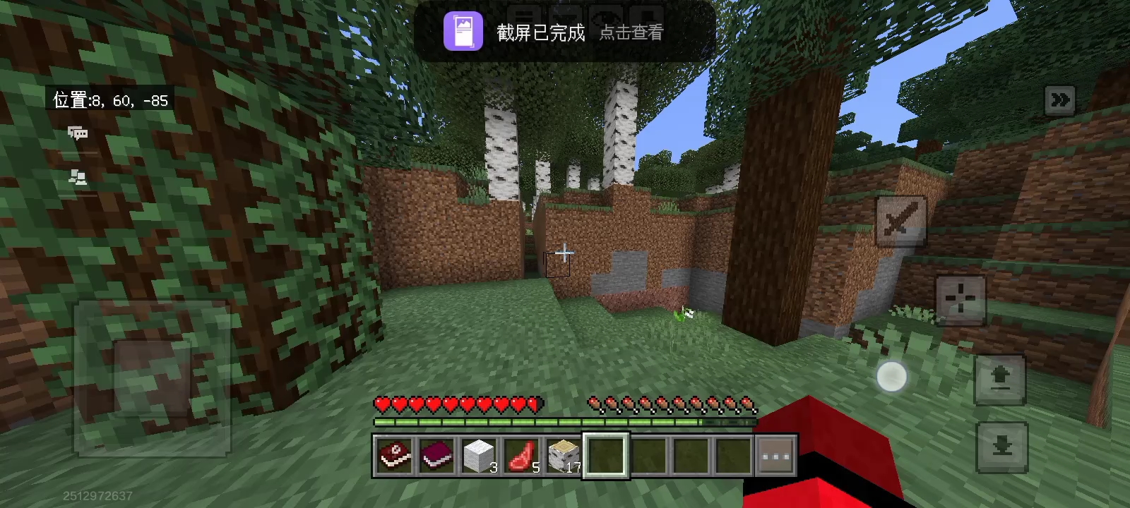 这自然生成的地形看的我背后发麻