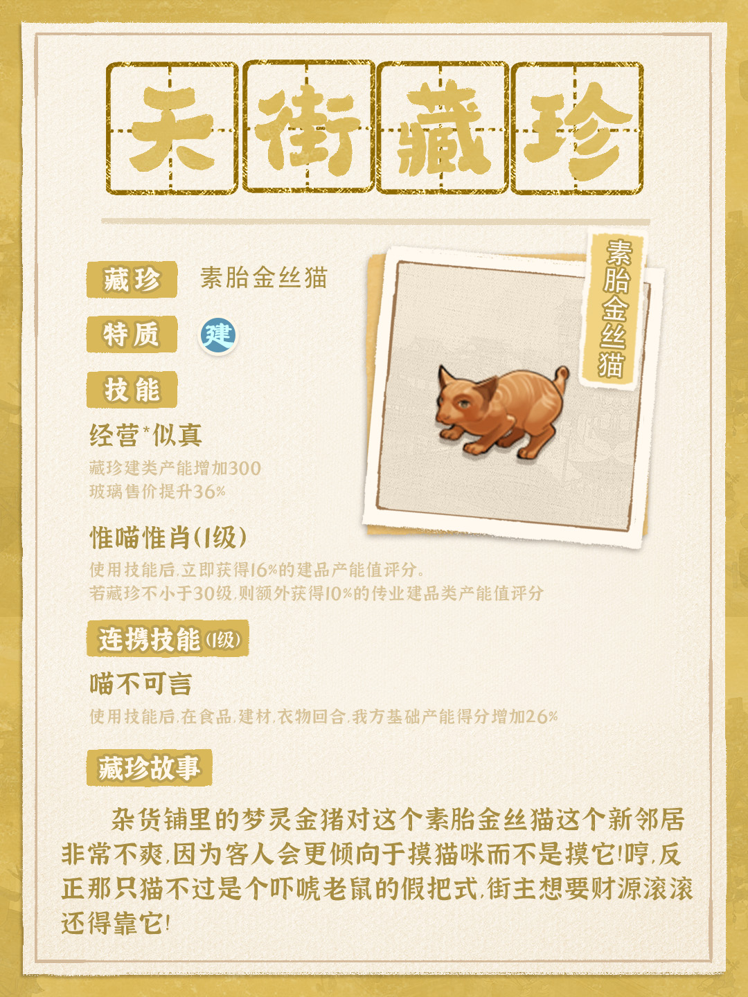 【天街藏珍】喵喵来袭！喵~