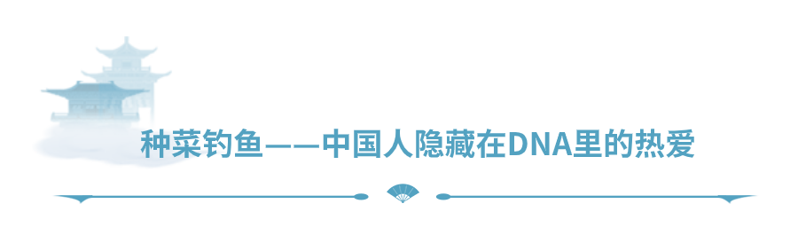 失联玩家05-09丨帅气小伙情窦初开，合婚不成暴打工作人员！？