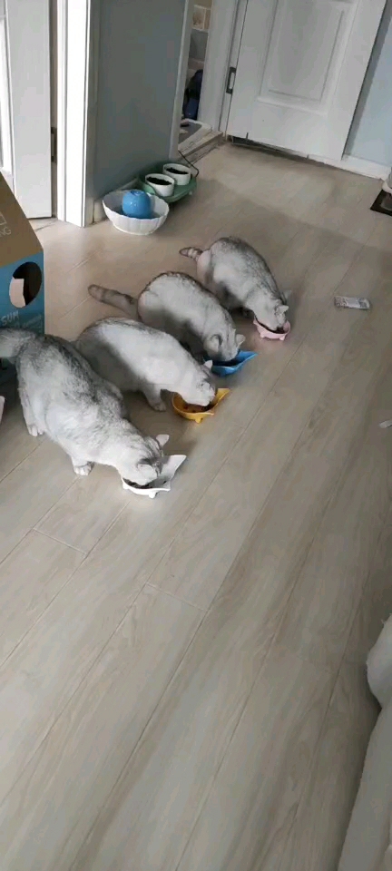 幸福的一家，美美的