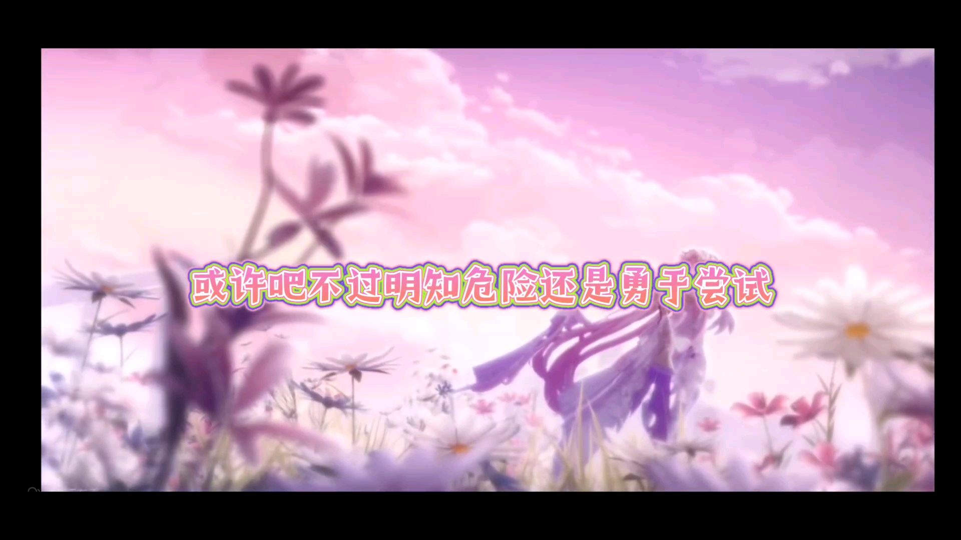 爱莉希雅，生日快乐（11.11）