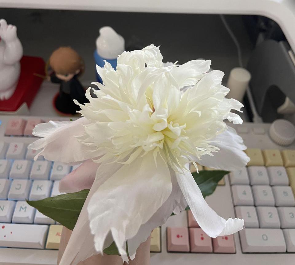 【已开奖】内含礼包码丨别划走！扫地阿姨有话想说，还有惊喜好礼送~