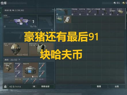 豪猪还有最后91块哈夫币 