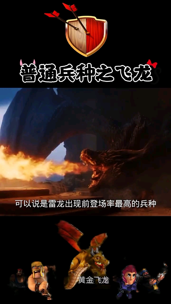 飞龙教学。
