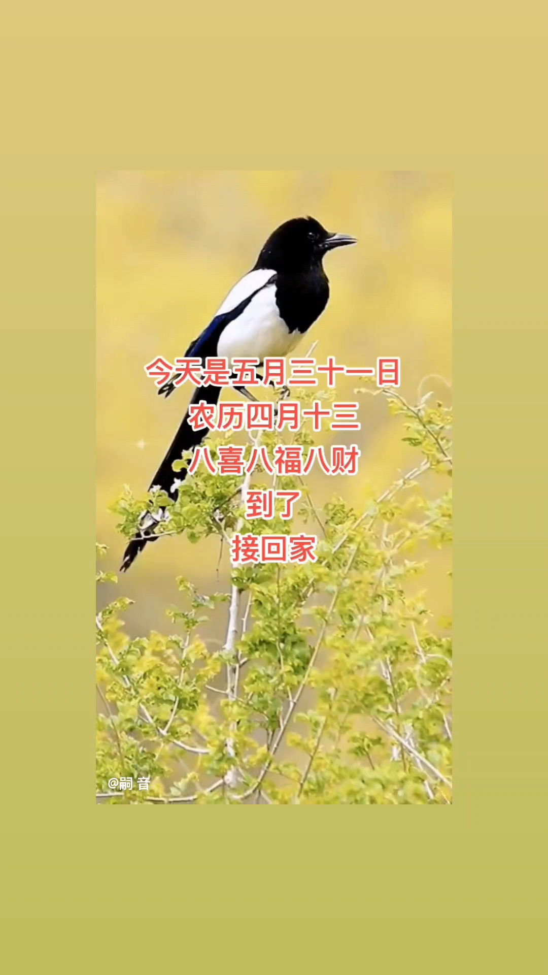 祝福开心消消乐永远开心！乐！乐！乐！！！