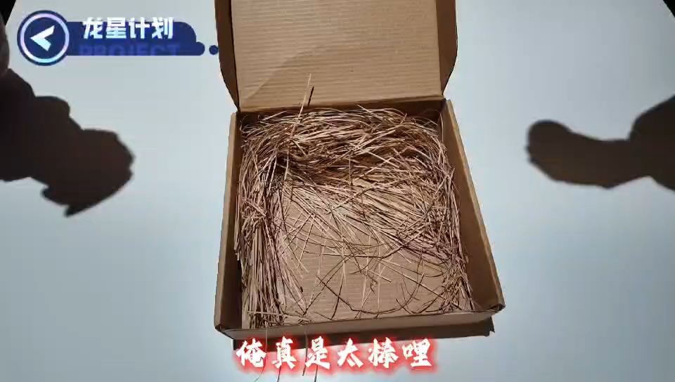 《新春贺岁曲—好运追来》新年快乐！