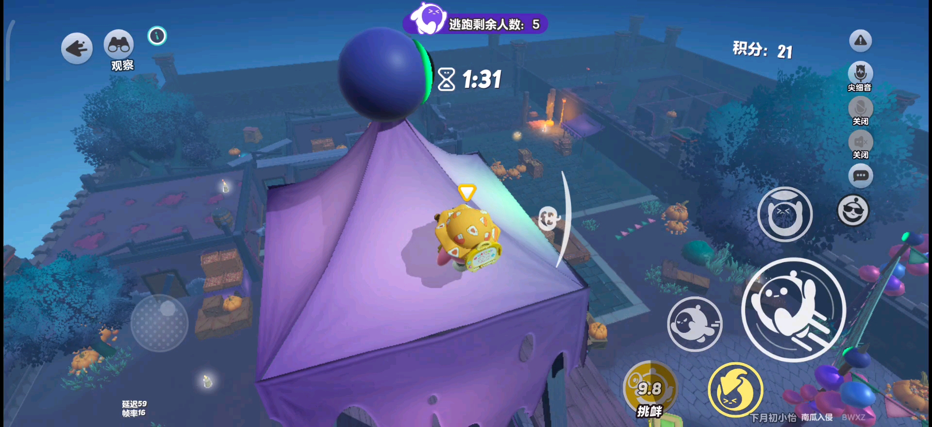 我想要蛋币求求了。