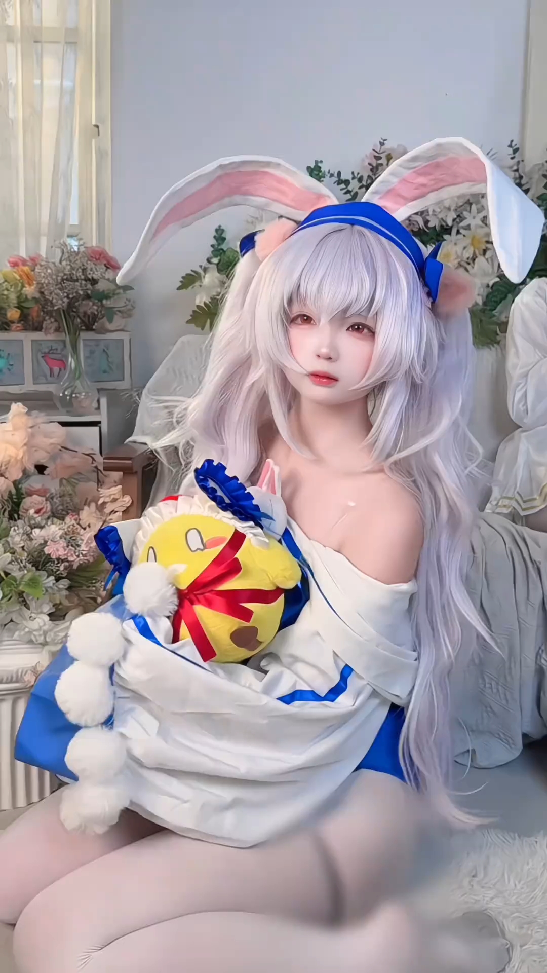 来源：塔歌鸽鸽