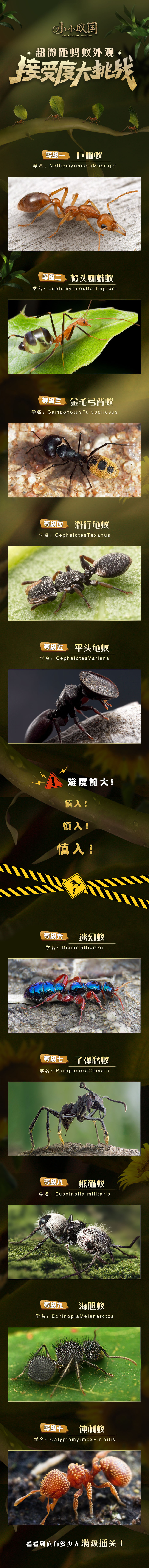 这挑战你们可以吗？