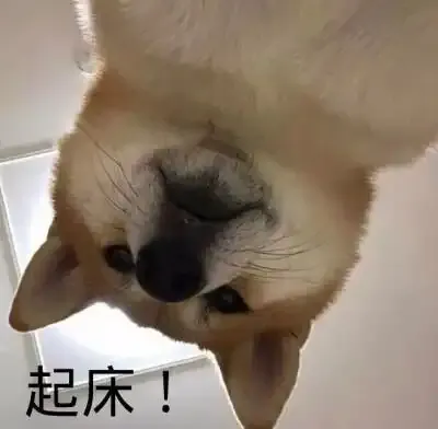 别扔！送的徐盛是开荒神卡好吗