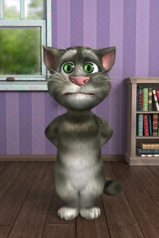 会说话的汤姆猫2