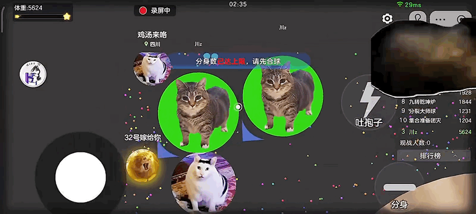 【球宝攻略】霸屏赛 “猫” 系绝杀！哈基猫皮肤封神指南