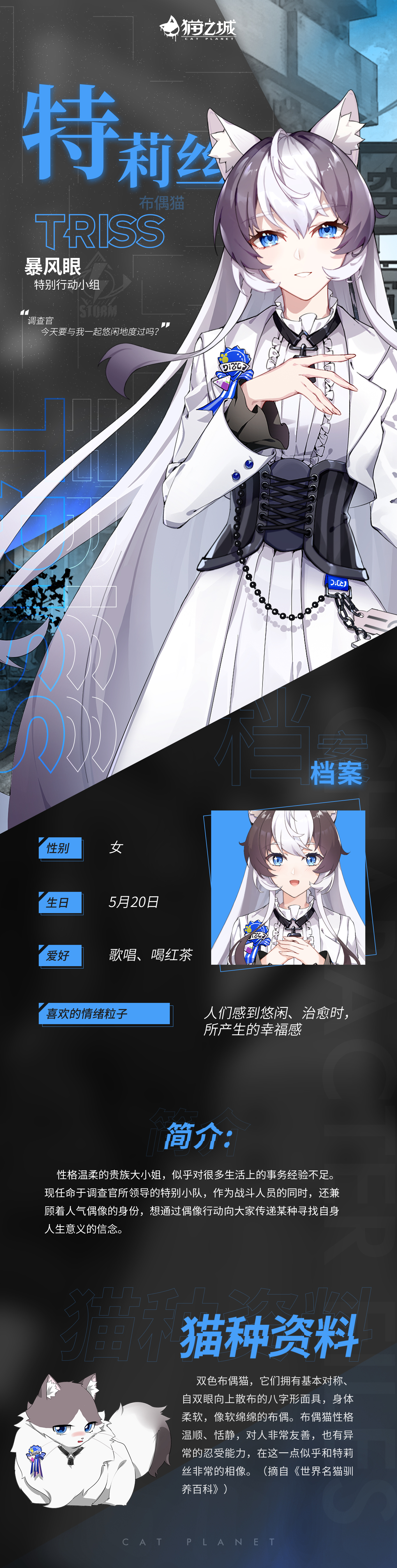 《猫之城》「暴风眼档案」特莉丝