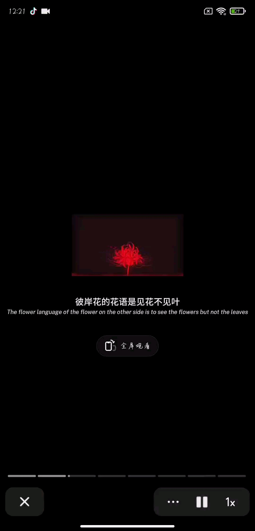 希望大家不要遇到彼岸花。